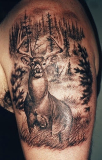 12+ Best Mule Deer Tattoo Designs | PetPress