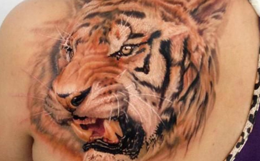 15+ Realistic Tiger Tattoo Designs and Ideas | PetPress