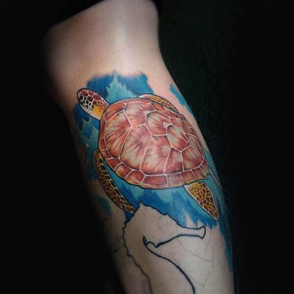 20+ Best Turtle Tattoo Designs For Guys | PetPress