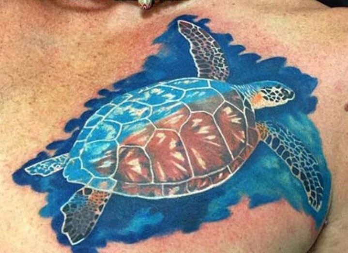 20+ Best Turtle Tattoo Designs For Guys | PetPress
