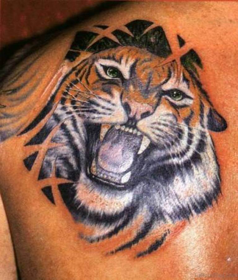 15+ Angry Tiger Tattoo Designs and Ideas PetPress