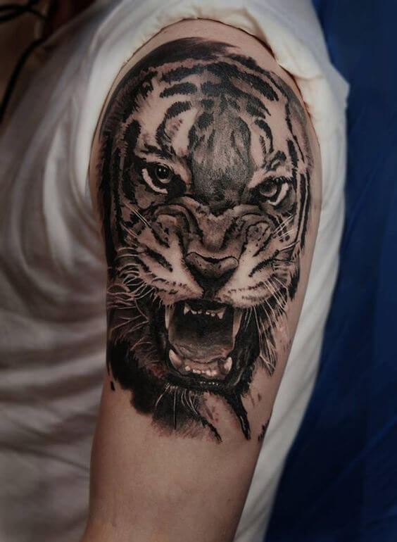 15+ Angry Tiger Tattoo Designs and Ideas PetPress