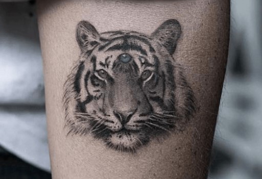 12+ Best Bengal Tiger Tattoo Designs and Ideas | PetPress