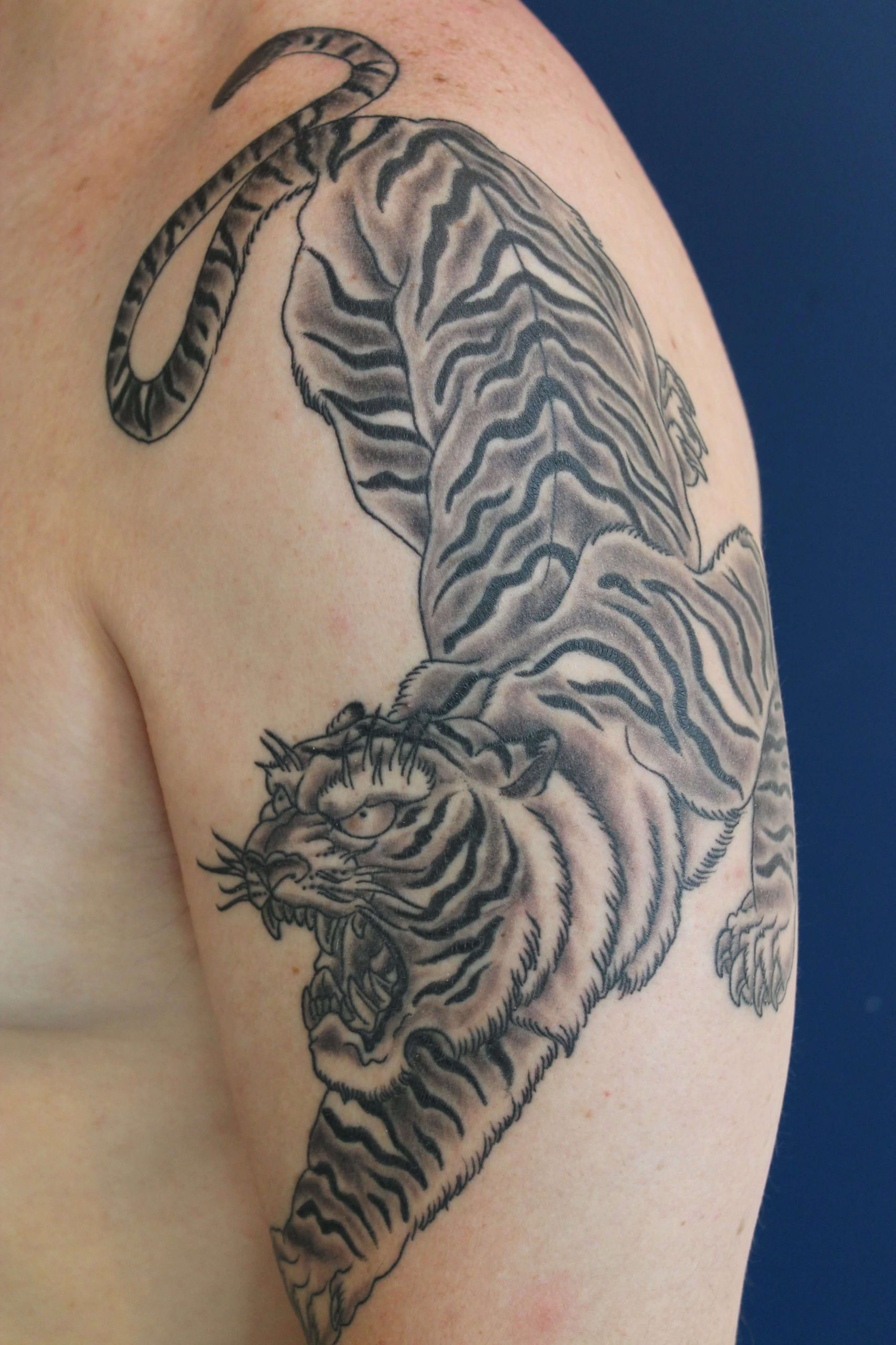 12+ Black and Grey Tiger Tattoo Designs | PetPress