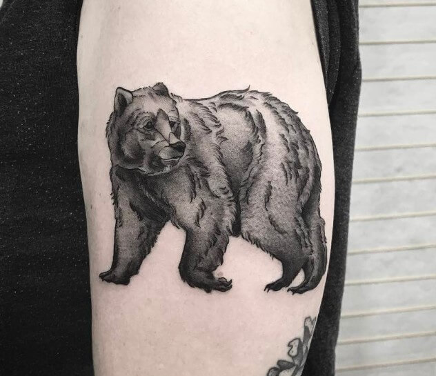 12 Best Brown Bear Tattoo Designs And Ideas Petpress