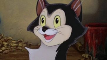 cat cartoon