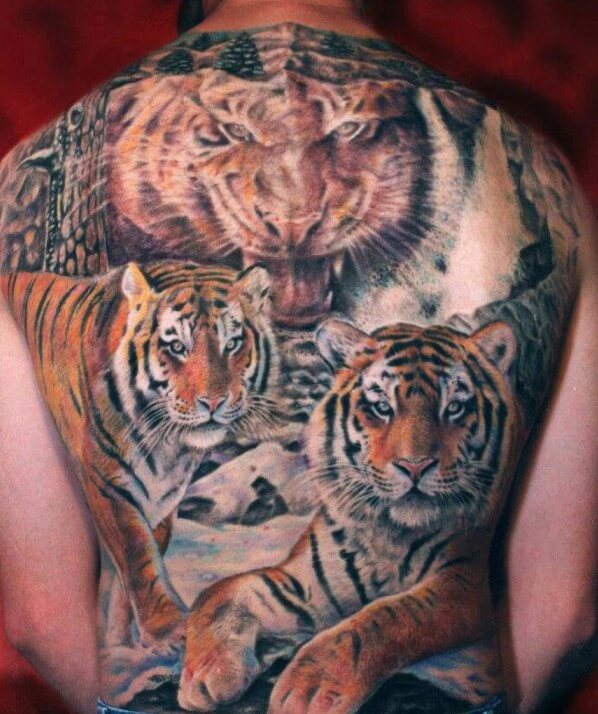 10+ Best FullBody Tiger Tattoo Designs PetPress