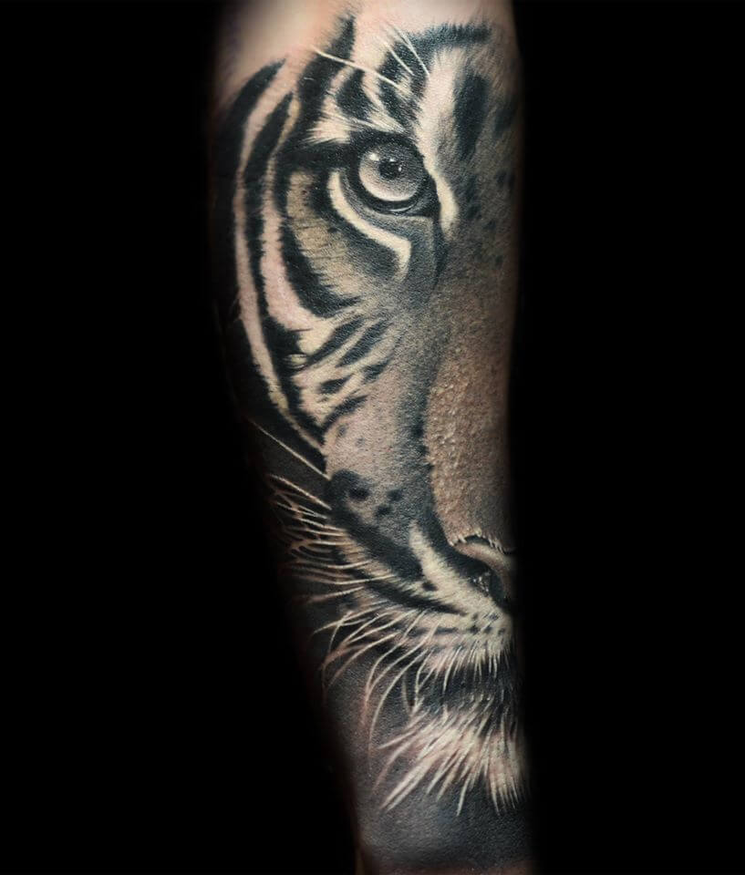 12 Best Half Tiger Face Tattoo Designs Petpress