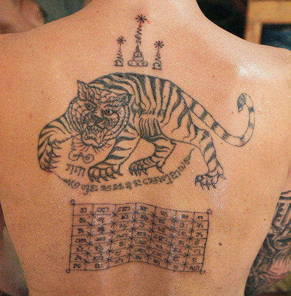 10+ Amazing Muay Thai Tiger Tattoo Designs PetPress