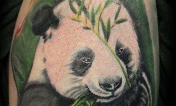 12 Realistic Panda Bear Tattoo Designs Petpress