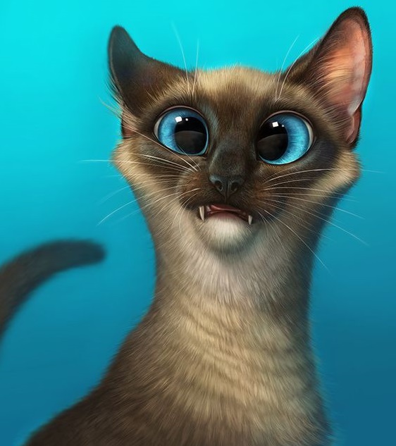 15 Funny Siamese Cats To Brighten Up Your Day | PetPress