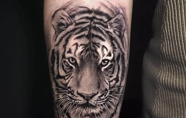 1. Siberian Tiger Tattoo Designs - wide 2