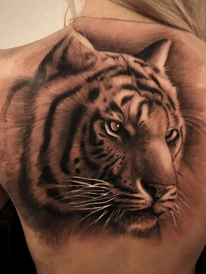 12 Best Siberian Tiger  Tattoo  Designs PetPress