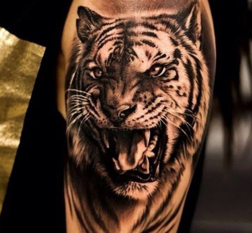 12+ Best Siberian Tiger Tattoo Designs | PetPress