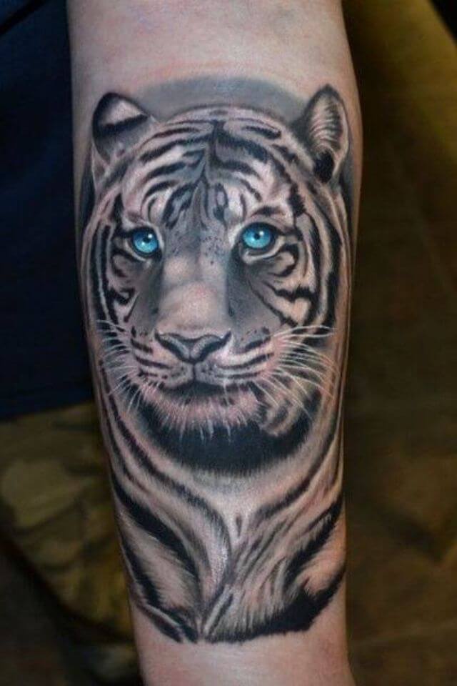 12+ Best Siberian Tiger Tattoo Designs | PetPress