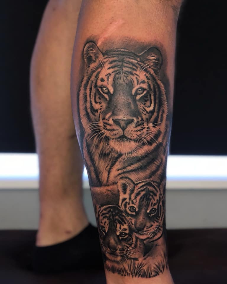 12+ Best Tiger and Cub Tattoo Designs PetPress