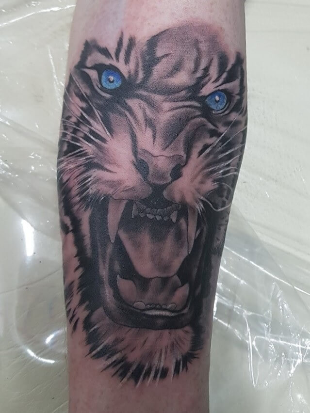 12+ Realistic Blue Eyes Tattoos - Tiger Tattoo Designs | PetPress