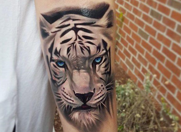 12-best-white-tiger-tattoo-designs-ideas-petpress