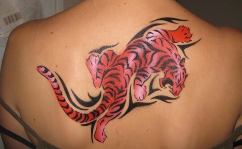 10+ Best Red Tiger Tattoo Designs PetPress