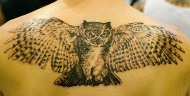 12+ Best Owl Wings Tattoo Ideas - PetPress
