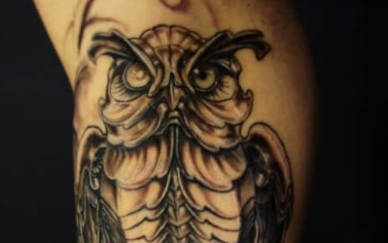 1. Mechanical owl tattoo design - wide 5
