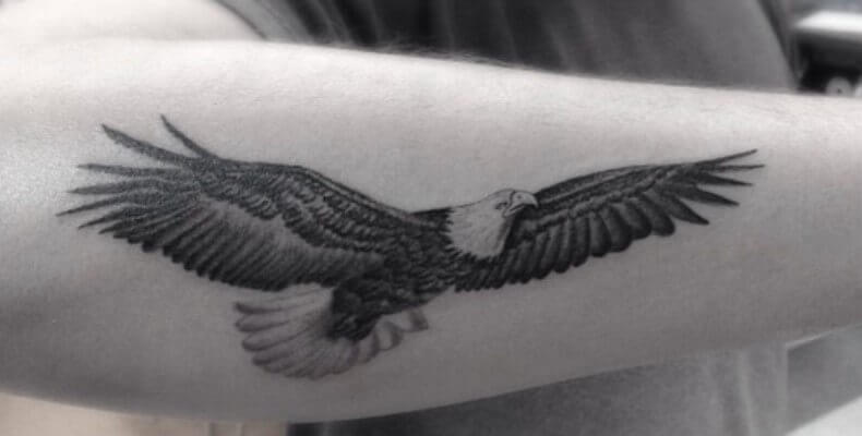 12+ Small Eagle Tattoo Designs and Ideas | PetPress