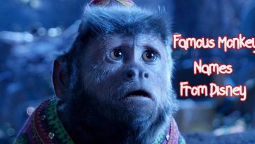 famous-disney-monkey-name
