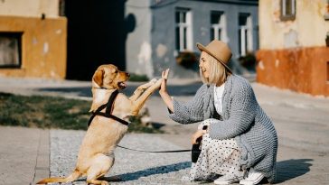 girl-play-with-dog