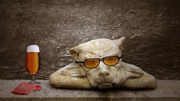 male-dog-beer