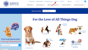 What Is AKC Registered Dog mean When You Buy A Dog?