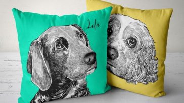 custombark featured | petpress