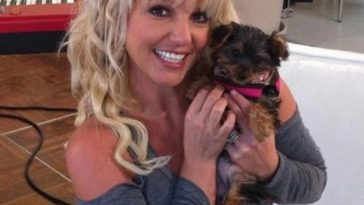 britney-spears-dog-hannah-z
