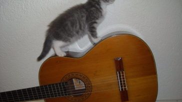 rock-and-roll-song