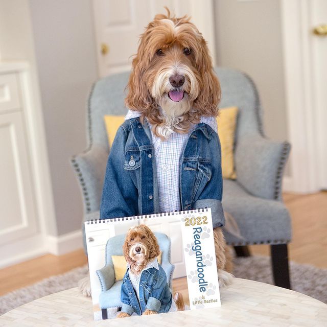 reagan-doodle