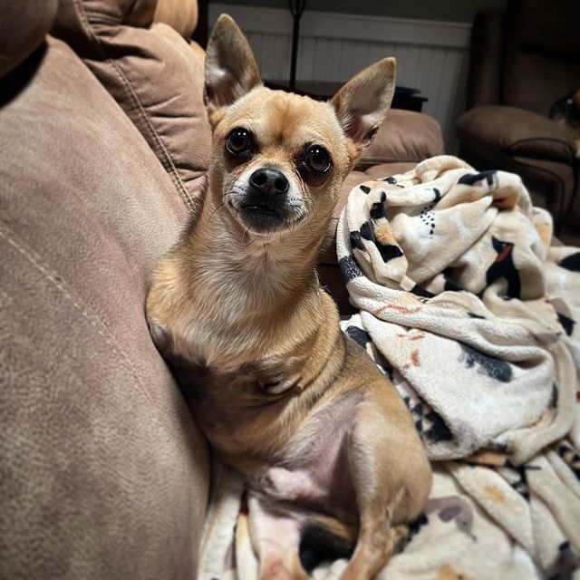 turboroo
