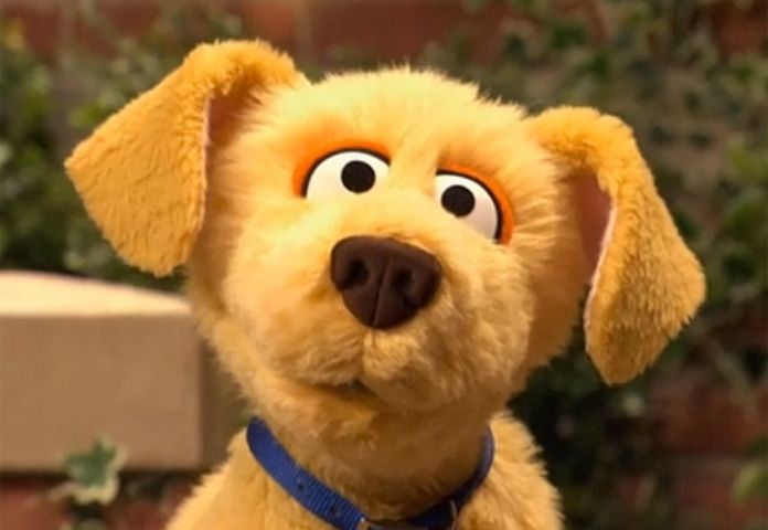 Female Dog Names Inspired By Sesame Street Characters