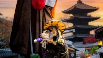 Ninja Dog Names - 90+ Dog Names Inspired by Ninjas