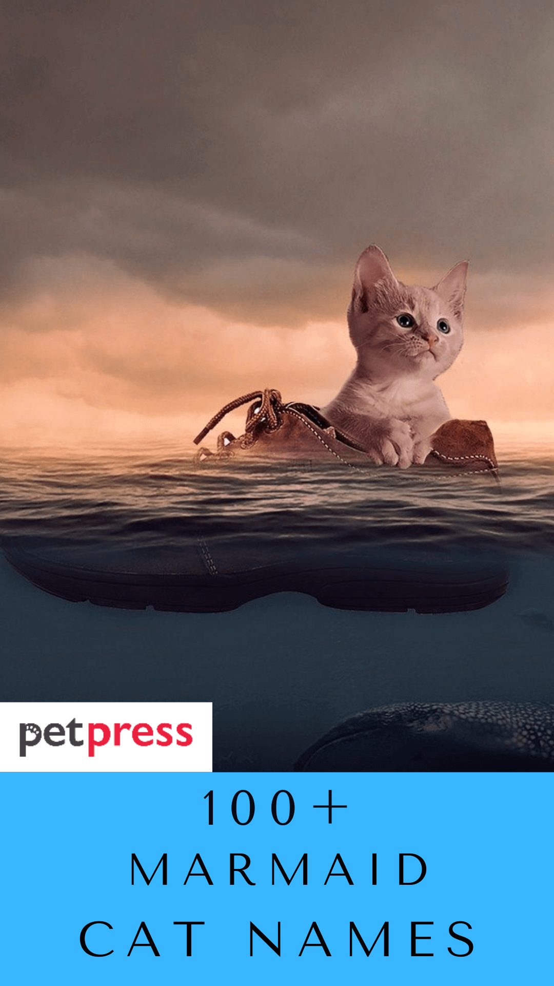 mermaid-cat-names