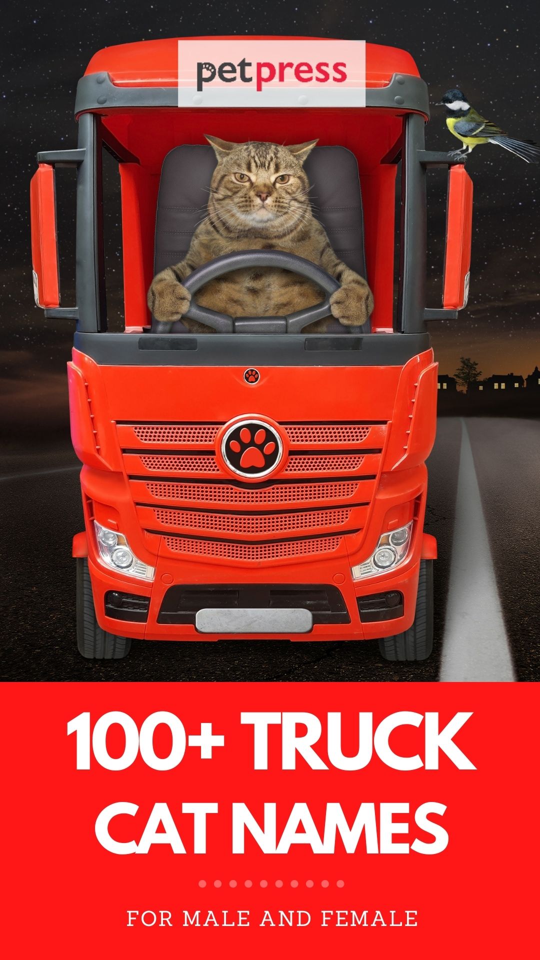truck cat names