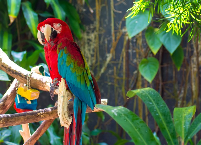 offensive-bird-names