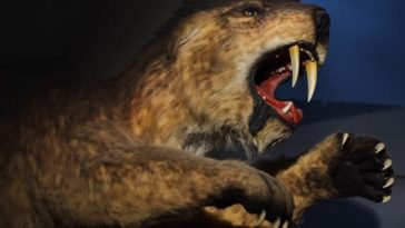 Best Saber-Tooth Tiger Names - 100+ Names for a Saber-Toothed Tiger