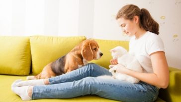 8 Ways to Celebrate National Pet Day - Show Your Pets Some Love!