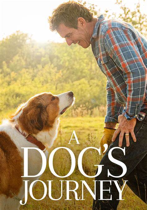 A Dog's Journey