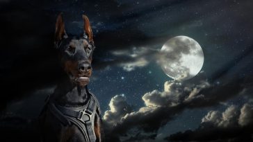 male-moon-dog-names