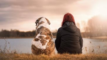 Condolences for loss of pet