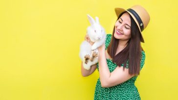 Can rabbits be trained to do tricks?