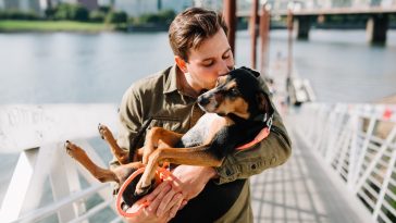 Celebrating Fatherhood 50+ Heartfelt Dog Dad Quotes