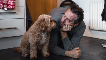 funny dog dad quotes