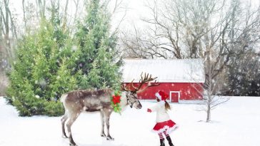 Reindeer Christmas Quotes