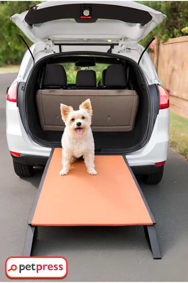 DIY Dog Ramp for Car